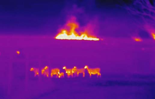 What Do The Colors Mean In Thermal Imaging? Are they the same for all models? - May 6, 2021