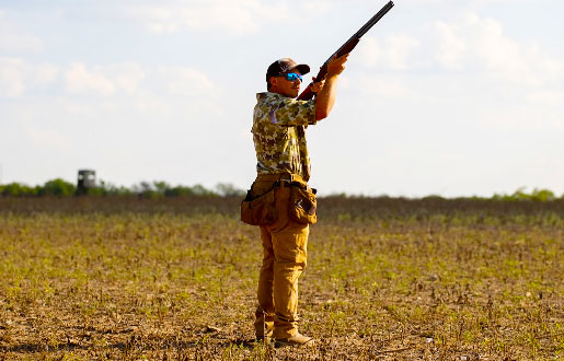 Comment débuter la chasse aux oiseaux - 3 avril 2022